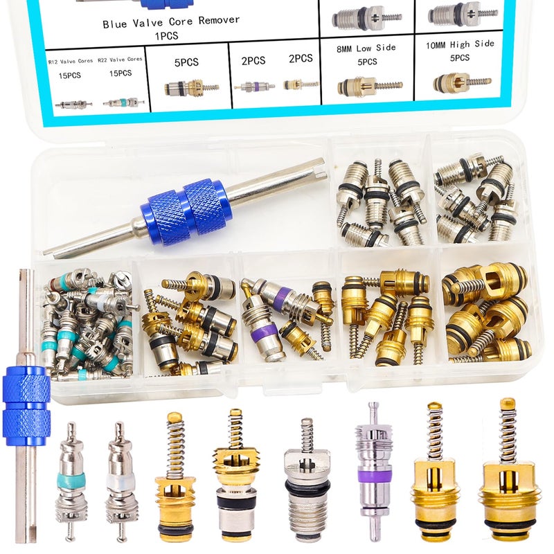 TWTADE 60PCS Car Air Conditioner Valve Core Accessories with Remover Tool Assortment Kit R12 R134a Refrigeration Tire Valve Stem Cores Repair Kit H-021-R12 - Image 1